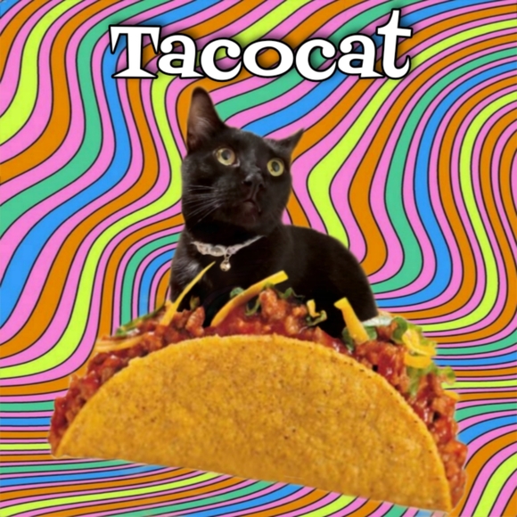 Meet your Posher, Dea D. - Picture 6 of 6